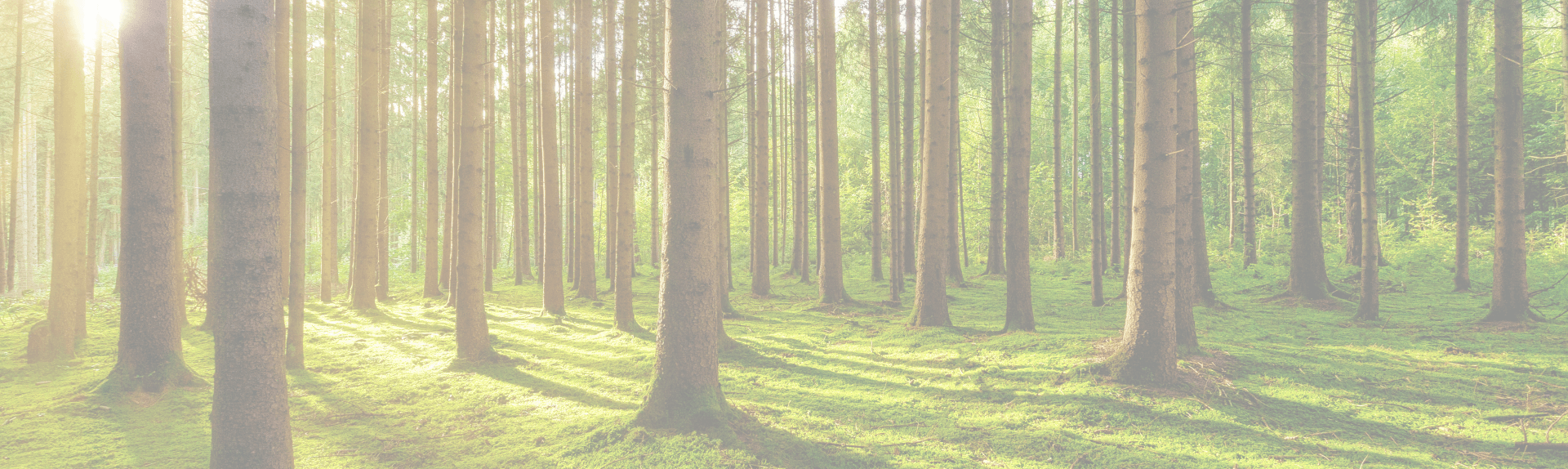 fondo_construir_madera